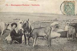 - Dpts Div.-ref-NN713- Lozere - Aubrac - Vacherie Dans La Montagne - Vacheries - Traite Des Vaches - Laiterie - - Aumont Aubrac