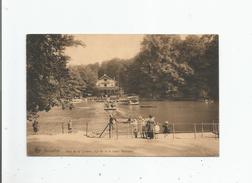 BRUXELLES BOIS DE LA CAMBRE LE LAC ET LE CHALET ROBINSON  (PETITE ANIMATION) - Forêts, Parcs, Jardins