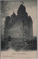 Muttenz - Ruine Wartenberg - Photo: Rathe-Fehlmann No. 2224 - Muttenz