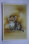 OLD USSR Postcard  -  "Jaguar Cub"  1989 - Tigres