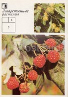 Small-leaved Lime - Raspberry - Medicinal Plants - Herbs - 1988 - Russia USSR - Unused - Plantes Médicinales