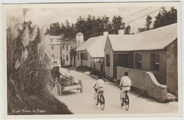 ROAD SCENE IN PAGET (ANTILLES / BERMUDES) - Bermuda