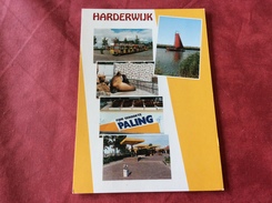 Nederland Harderwijk. 1992 Zeeleeuw - Harderwijk