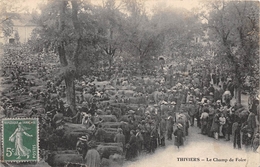 24-THIVIERS- LE CHAMPS DE FOIRE - Thiviers