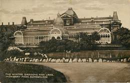 Royaume-Uni - Angleterre - Durham - The Winter Gardens And Lake - Mowbray Park - Sunderland - état - Andere & Zonder Classificatie