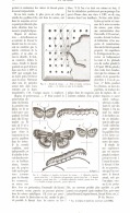 LES VERS Du BISCUIT DE TROUPE   1893 - Other & Unclassified