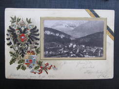 AK FELDKIRCH Litho Prägekarte 1900/// D*23169 - Feldkirch