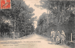 ¤¤   - 3  -   ILE De NOIRMOUTIER  -  Une Allée Du Bois De La Chaise  -  Anes   - ¤¤ - Noirmoutier