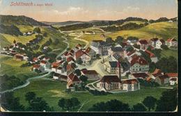 Rarität Litho Schöllnach Bayr. Wald Gesamtansicht Wohngebiet Ortsmitte Um 1900 - Deggendorf