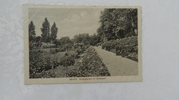 Cp Neuss  Rosengarten Im   Stadtpark - Neuss