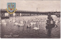 WEYMOUTH - "Swans" - Weymouth