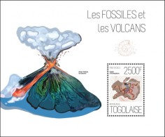 Togo. 2013 Fossils And Volcanoes. (611b) - Fossilien