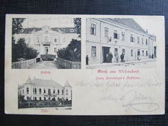 AK WILFERSDORF B. Mistelbach 1905 // D*23312 - Mistelbach