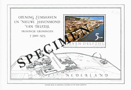 Pays Bas - Delfzijl - Nieuwe Havenmond 1973 - Carte Specimen - Delfzijl