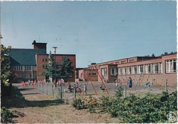 PULDERBOS  PREVENTORIUM  SINT JOZEF - Zandhoven