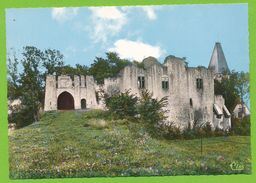 PICQUIGNY - Ruines De L'ancien Château Féodal Des Vidames D'Amiens Les Remparts Photo Véritable Colorisée - Picquigny