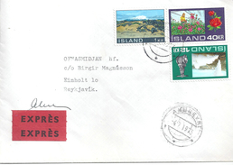 Express Brief  Akureyri - Reykjavik             1973 - Lettres & Documents