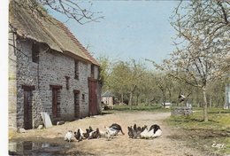 G , Cp , AGRICULTURE , Cour De Ferme - Fermes