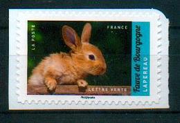 Delcampe - France 2017 - Lapin Fauve De Bourgogne / Rabbit - MNH - Hoftiere