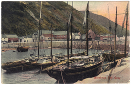 Minehead, The Quay - Montague Cooper - Unused C1910 - Minehead