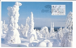 Philatelic Exhibition Postcard Mountain Hare Lepus Timidus - 6-9 November 1997 Frimærker I Forum - Tarjetas – Máximo