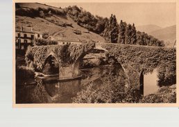 64---BIDARRAY---le Très Pittoresque Et Vieux Pont En Dos D'âne Sur La Nive---voir 2 Scans - Bidarray