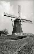 NIEUWAAL Bij Zaltbommel (Gld.) - Molen/moulin - De Verdwenen Nieuwaalse Poldermolen In 1930. TOP !!! - Zaltbommel