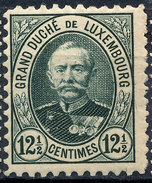 Stamp  Luxembourg 1891  12 1/2c Mint Lot#51 - 1859-1880 Wapenschild