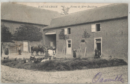 PEPINGEN - HEIKRUIS - HAUTE-CROIX - Ferme De Mme Dechèvre - 1908 - Topkaartje - Omgeving Herne Gooik Enghien - Pepingen