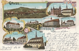 Gruss Aus Feldbach-Litho 1901 - Feldbach