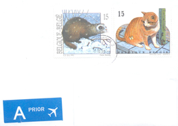 1999. Belgium, The Letter Sent By Ordinary Post To Moldova - Storia Postale