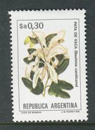 Argentina 1983 - Bauhinia Candicans : Pata De Vaca - - Used Stamps