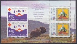 Greenland 1993 Red Cross & Scouting M/s ** Mnh (35171) - Blocks & Sheetlets