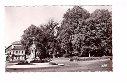 31 Saint Gaudens Monument Aux Morts Et Jardin Public Edit Apa-Poux N°55 Carte Non Voyagée - Saint Gaudens