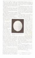 L'ECLIPSE DE SOLEIL Du 16 AVRIL   1893 - Astronomia