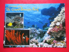 R1- Postcard-The Great Barrier Reef ,Australia - Great Barrier Reef