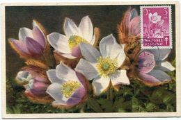 FINLANDE CARTE MAXIMUM DU N°369 FLEURS - Maximumkaarten