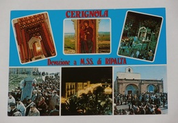 FOGGIA - Cerignola - Devozione A Maria SS. Di Ripalta - Processione - 6 Vedute - Cerignola