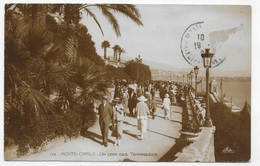 MONTE CARLO - N° 172 - UN COIN DES TERRASSES - CPA VOYAGEE - Le Terrazze