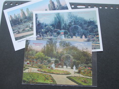 AK 1916 Sangerhausen Rosarium / Rosengarten. Heliocolorkarte Von Ottmar Zieher. + 2 Neue Karten / Neuauflagen!! - Sangerhausen