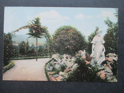 AK 1907 Sangerhausen Rosarium / Rosengarten. Ottmar Zieher, München. - Sangerhausen