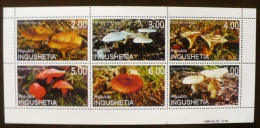 RUSSIE-URSS. CHAMPIGNONS, CHAMPIGNON, MUSHROOM 1 Feuillet 6 Valeurs Emis En  1999. MNH, Neuf Sans Charniere - Hongos