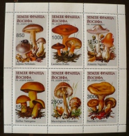 RUSSIE-URSS. CHAMPIGNONS, CHAMPIGNON, MUSHROOM 1 Bloc 6 Valeurs Emis En  1997. MNH, Neuf Sans Charniere - Champignons