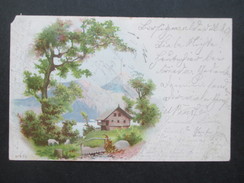 Delcampe - AK 1901 Künstlerkarte Hütte In Den Bergen. Tegel - Hangelsberg. - 1900-1949