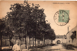 45.....LOIRET....COURCELLES....LE MAIL... - Sonstige & Ohne Zuordnung