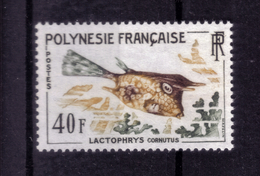 N° 21 NEUF** - Unused Stamps