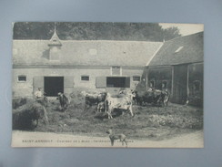 CPA 78 SAINT ARNOULT CHÂTEAU DE L'ALEU INTÉRIEURE DE LA FERME VACHES - St. Arnoult En Yvelines