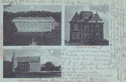 Château De Sinnich, De M Magis, D'Obsinnich (A. Willems, 1900) - Aubel