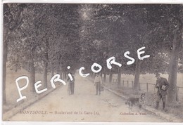 Delcampe - 95  Montsoult  Boulevard De La Gare - Montsoult