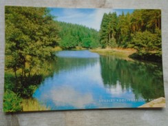 D147580  WALES  -  Chepstow - Gwent Soudley Pool  Forest Of Dean - Monmouthshire